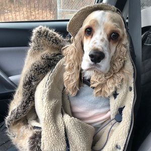 Meet your Posher, Maddy